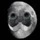Avatar de Usuario